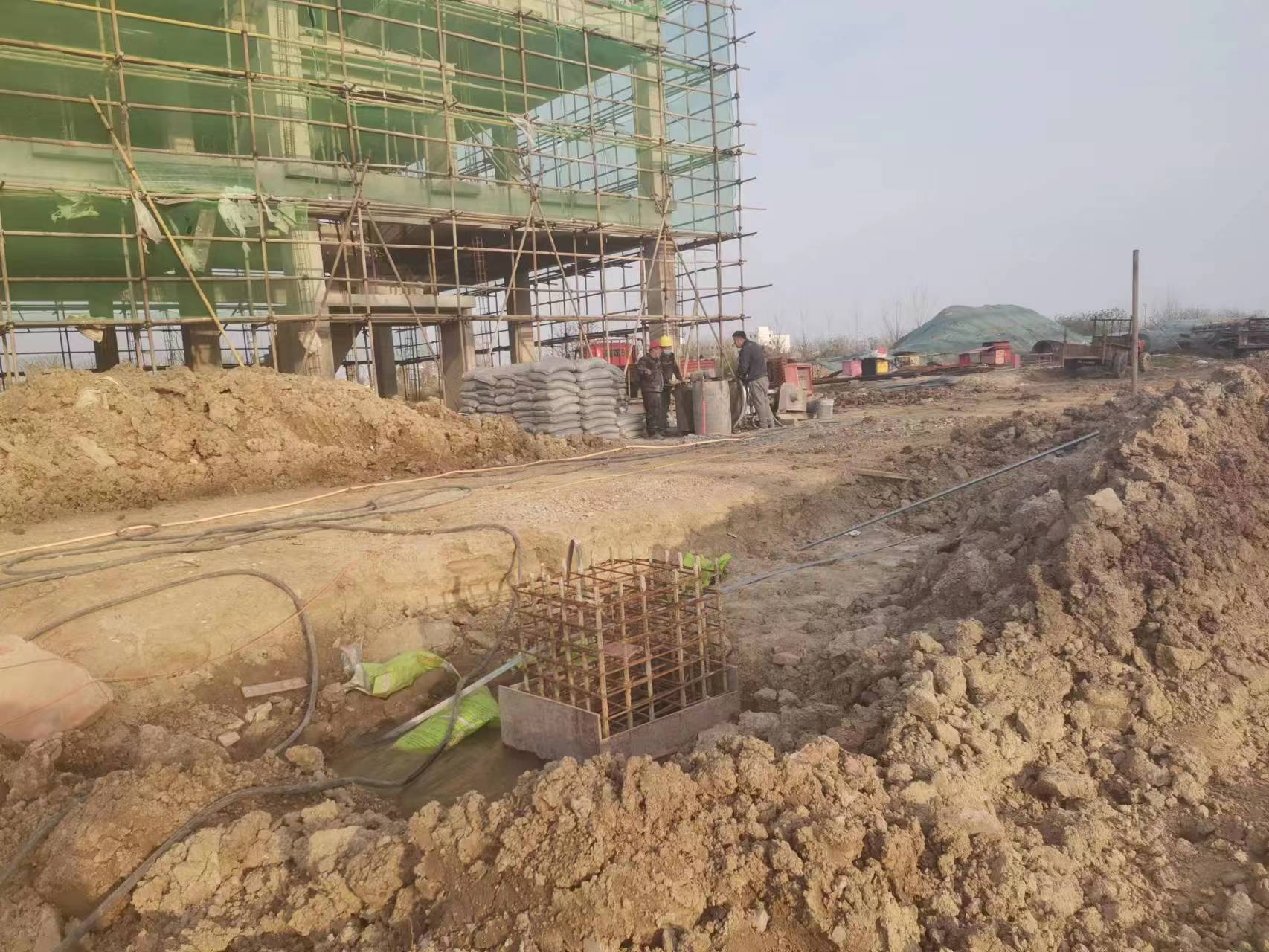 榆树当桥梁出现裂缝的时候应该及时加固修补